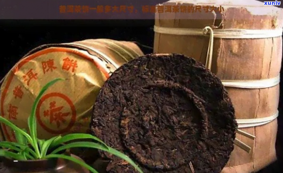 '100克饼茶普洱茶尺寸'