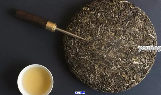 '100克饼茶普洱茶尺寸'