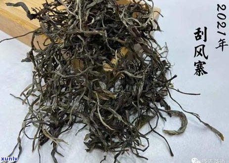 普洱茶口感苦涩，是否适合饮用？如何调整口味？