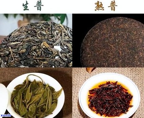 冬饮用普洱茶对女性是否适宜？解答你关于普洱茶冬天喝的疑问