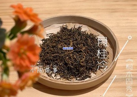 红茶和普洱茶存放 *** ：如何保持状态