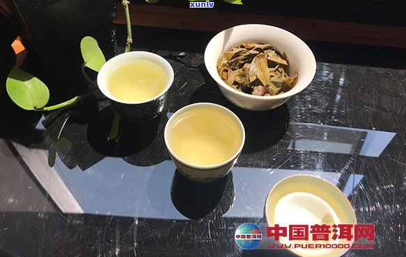 六大山头普洱茶试饮装大礼包：限时领取，品质与口感的完美体验！