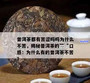 普洱茶的苦涩味道：是否影响饮用体验？