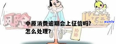 中原消费金融逾期多久上问题解决方案-中原消费金融逾期多久上问题解决方案呢