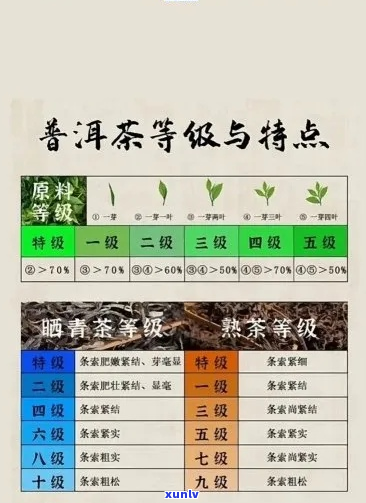 茶叶等级之争：特一级与特二级，何者更胜一筹？