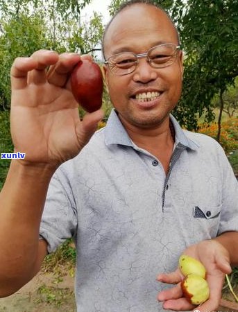 珍珠金豆子手链：材质、款式、保养与搭配指南，全方位满足您的需求