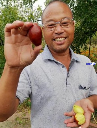 珍珠金豆子手链：材质、款式、保养与搭配指南，全方位满足您的需求