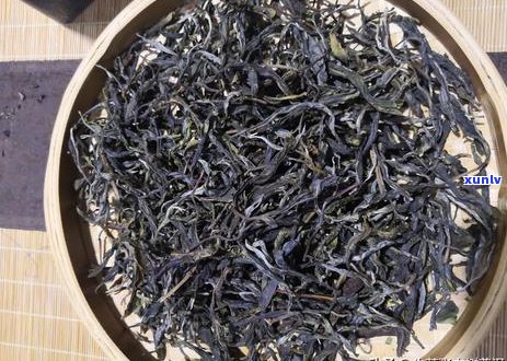 易武麻黑普洱茶的特点：生茶与熟茶的口感对比