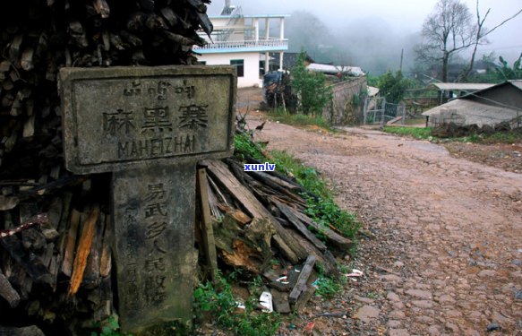 易武麻黑普洱茶的特点：生茶与熟茶的口感对比