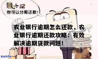 农行个人贷款逾期如何归还