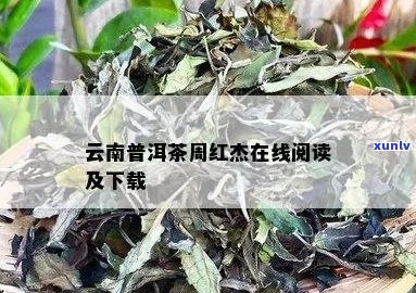 周红杰云南普洱茶专卖《云南普洱茶》周红杰著