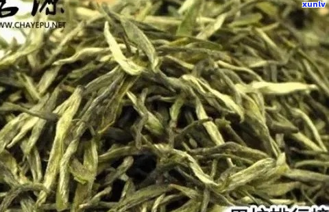 广东江特产茶叶推荐：品味江独特风味的好茶叶