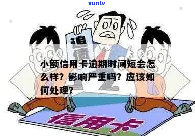 长期小额逾期怎么处理-长期小额逾期怎么处理更好