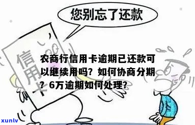 农商银行信用卡逾期了怎么办还款 *** 详解-农商行信用卡逾期如何协商分期