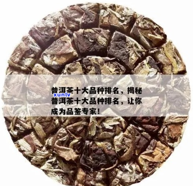 全面了解普洱茶排行榜：十大知名详解与选购指南