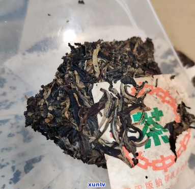 被老鼠咬过的琚茶：一不寻常的历与文化之旅