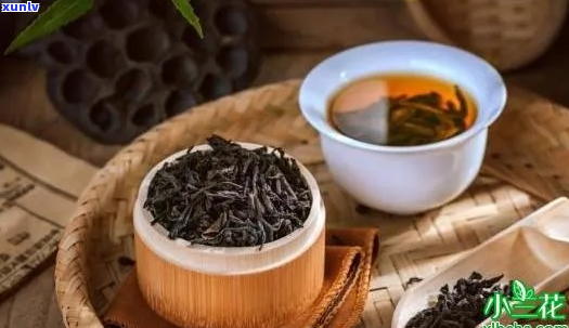 冬天喝什么茶更健？红茶、绿茶还是其他茶叶的选择指南