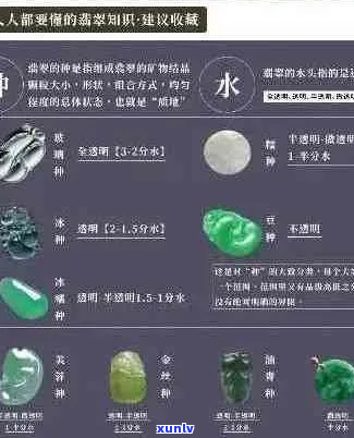 翡翠净度详解：如何评估和理解翡翠的纯净度及其影响因素？