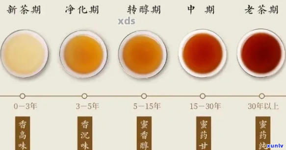 普洱熟茶的陈化年份与口感关系探讨：存多年的好喝茶品