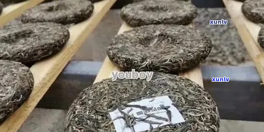 高山寨古树普洱茶：品种、产地、 *** 工艺与品饮 *** 全面解析