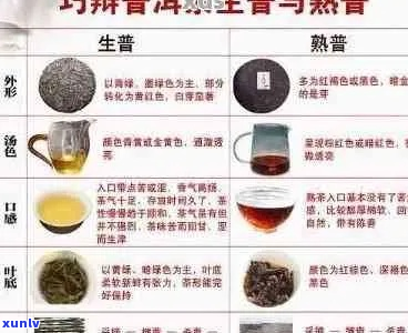 普洱茶：熟茶还是红茶？揭秘普洱茶的分类与区别