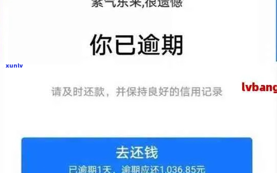 支付宝欠6千逾期六年没还该怎么办-支付宝欠6千逾期六年没还该怎么办呢