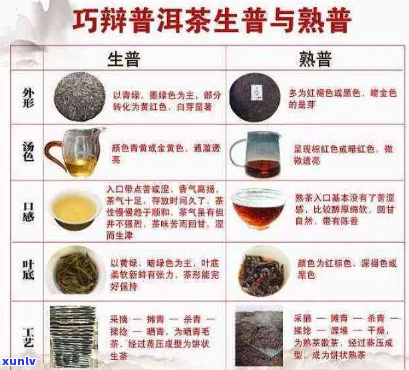 普洱茶的等级分类与科学保存 *** 详解