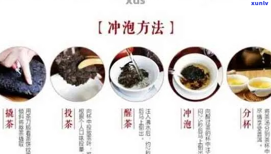 全面指南：值得收藏的普洱茶品种、品质与冲泡技巧，让你喝出口感！