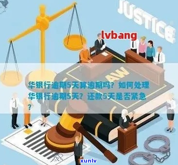 福建华银行逾期处理流程详解-福建华银行逾期处理流程详解图