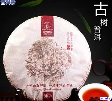 普洱茶标签中的古树标注：真相与误解解析