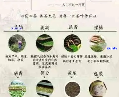 古树普洱茶品种标注争议：法律规定与实际操作的冲突