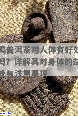 饮普洱茶的益处与注意事项：了解其对身体的影响和如何正确饮用