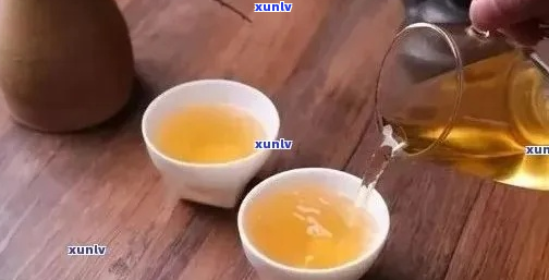 从选购到泡饮：全面掌握普洱茶的品鉴与泡法，以及必备茶具推荐