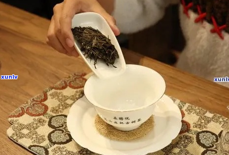 从选购到泡饮：全面掌握普洱茶的品鉴与泡法，以及必备茶具推荐