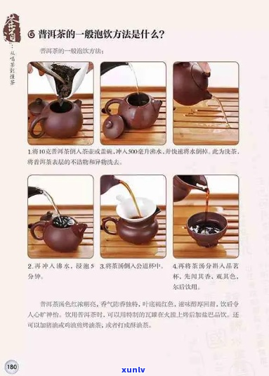 从选购到泡饮：全面掌握普洱茶的品鉴与泡法，以及必备茶具推荐