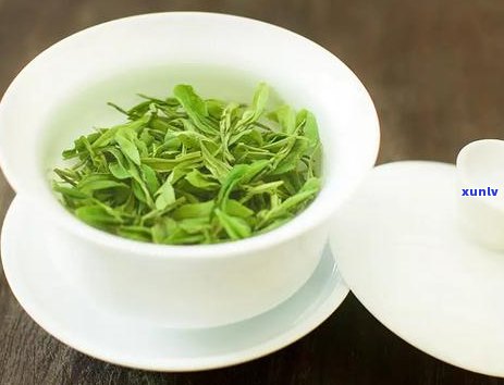 从选茶到品味：泡普洱茶的完整步骤详解，让你轻松掌握泡茶技巧