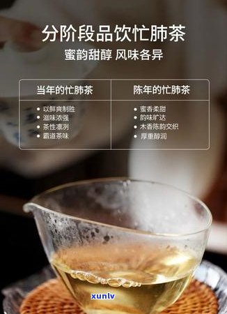 泡普洱茶的步骤