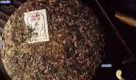 探索老班章普洱茶的独特魅力及其收藏价值