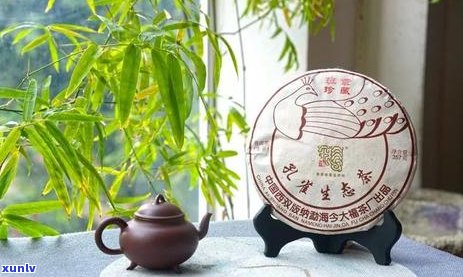 老班章普洱茶：品种特点、品质鉴、冲泡 *** 和收藏价值全面解析