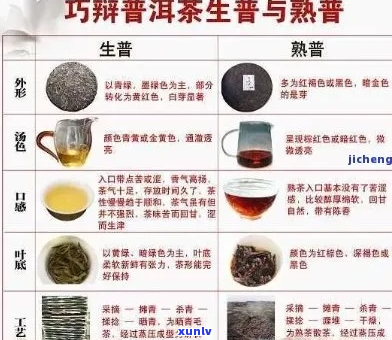 广东气候如何存普洱茶