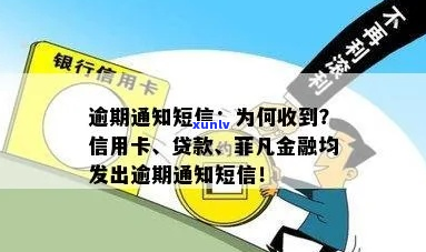 金融办关于逾期短信-金融办关于逾期短信通知