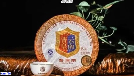 普皇普洱茶程国