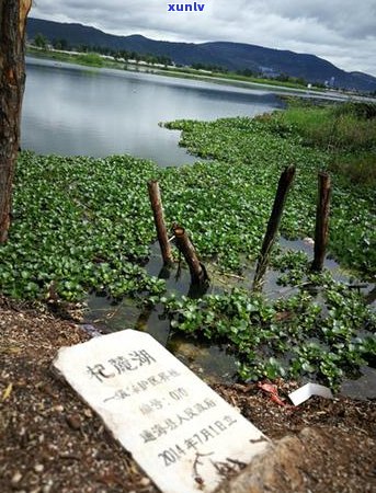 农业银行贷款逾期处理流程与法律风险分析-农业银行贷款逾期处理流程与法律风险分析论文