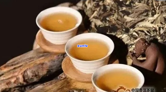 国际金奖茶王古树普洱茶：品种特点、 *** 工艺与品饮体验详解