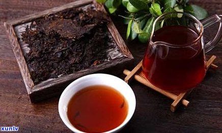 深入了解普洱茶与红茶的药理效益：从科学角度解析其健益处与作用机理