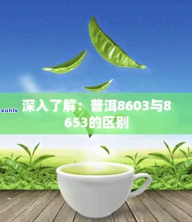 普洱茶8668和普洱茶8613的含义是什么？