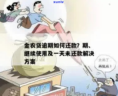 金农易贷无力还债怎么办-金农易贷无力还债怎么办理