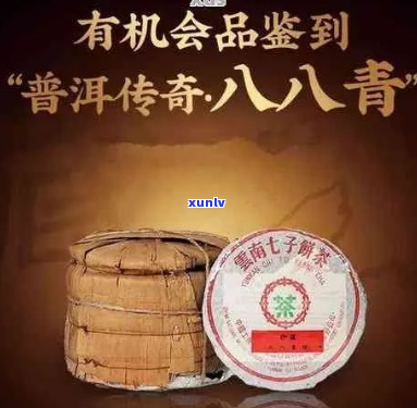 中茶八八青饼普洱茶详细信息及价格大全，助您轻松挑选合适茶叶