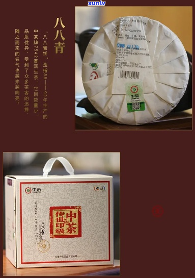 中茶八八青饼普洱茶详细信息及价格大全，助您轻松挑选合适茶叶