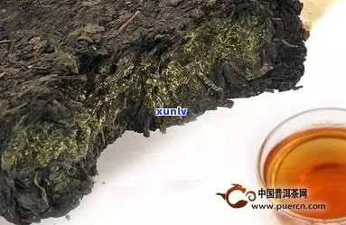 新普洱茶金花熟普喝法与功效，是否适宜饮用？